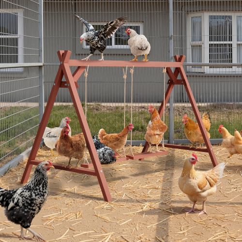PETSFIT Wooden Chicken Perch with 2 Swings for 6-8 Chickens, Easy Assembly | Solid Fir Wood,Chicken Roosting Bars for Backyard Farms and Coops, Promotes Natural Perching, Easy to Clean - size: 50"L x 30"W x 34"H