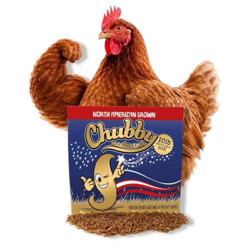 Chubby North American Grown Dried Mealworms | 10 lbs | Non-GMO High-Protein Treats for Chickens, Ducks & Wild Birds – Sustainable Chicken Feed - size: 10Lbs