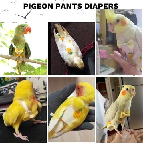 QBLEEV Bird Diaper Flight Suite, Reusable Parrot Nappy Cockatiel Clothes | Soft & waterproof inner layer, cute pigeon pants urine wet suit costume for conure macaw african budgies sun parakeet - color: Rabbit, size: S