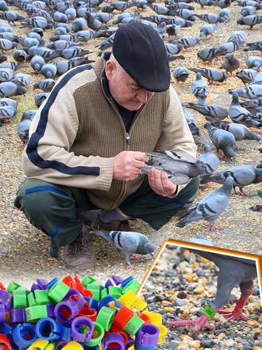 MEWTOGO 0.3in 100 Pcs Numbered Bird Pigeons Leg Identification Bands | Openable Reusable Readable 1-100 Poultry Leg Rings for Bantam Finch Dove Lovebird Coturnix Quail - size: 0.3in