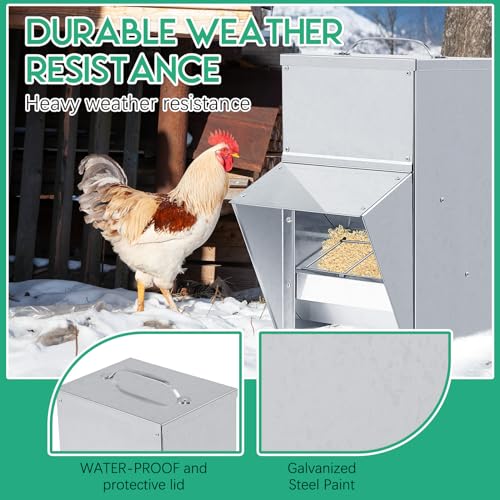 Uiifan 2 Pcs 11.5 lb Galvanized Chicken Feeder Weatherproof Poultry Metal Food Dispenser with Lid Chicken Duck Food Dispenser Rat Proof Feeder for Poultry Geese Quails Bantams Ducks and Turkey - size: 11.5 lb