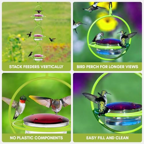 Hummingbird Feeder for Outdoors Hanging, 3.4 OZ Hummingbird Feeders, Glass Bowl with 4 Feeding Ports, Leak Proof Lid & Circular Perch, Bird Feeder (1, Lime) - color: Lime
