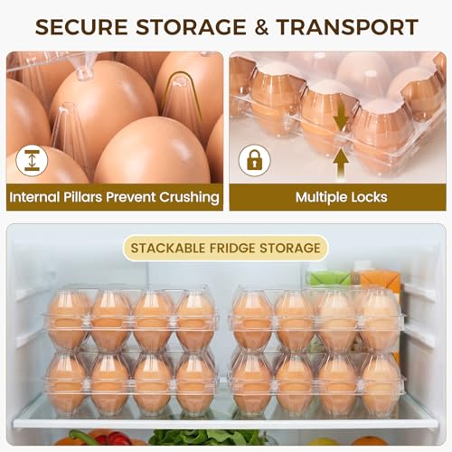 HAKSEN 60 PCS 12 Count Plastic Egg Cartons with Date Labels, Clear | Reusable Egg Containers Holds for Fresh, Medium Eggs Storage, Suitable for Farms, Family, Markets Display