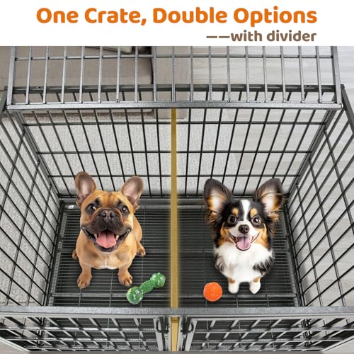 Homey Pet Taller 43" Two Tiers Dog Crate Cage Kennel with Divider, 2 Pack | Commercial Modular Dog Kennel with Dual Front Doors, Divider, Auto Locks, Removable Tray, Bowls for Small and Medium Dogs - size: 43"L - 2 Tiers - 2 Pack