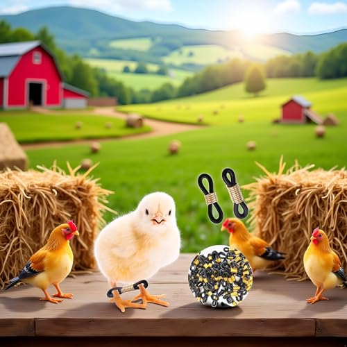 50 Pcs Black Baby Chick Splay Leg Hobble Chicken Leg Bands, Adjustable Chicken Hobble Braces for Spraddle Leg Repair Poultry Care Supplies, Bird Ducks Newly Hatched, Poultry Feeders
