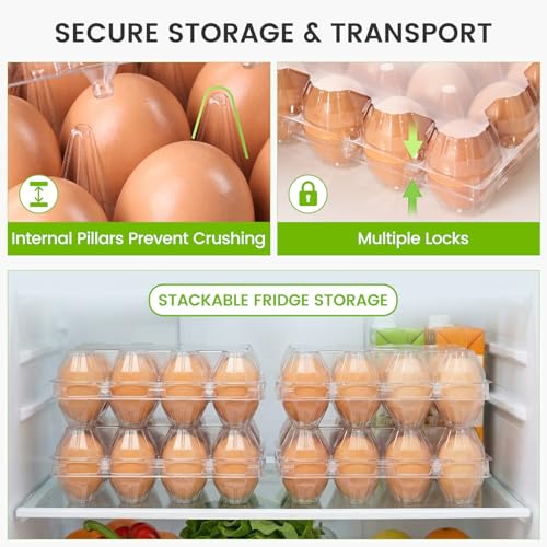 100 PCS Plastic Egg Cartons Bulk with Date Labels, 12 Count | Clear Reusable Egg Holder for Fresh, Medium Eggs Storage, Suitable for Farms, Families, Markets Display