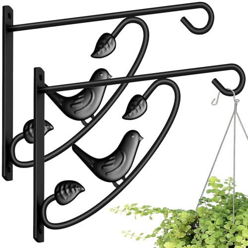 AMAGABELI GARDEN & HOME 2 Pack Hanging Brackets Plant Hanger Outdoor 12inch Metal Fence Wall Planter Hooks for Hanging Flower Baskets Bird Feeders Lanterns Wind Chimes Rust-Resistant Black - size: 12 Inch, style: 2-Pack Bird 2 Hook