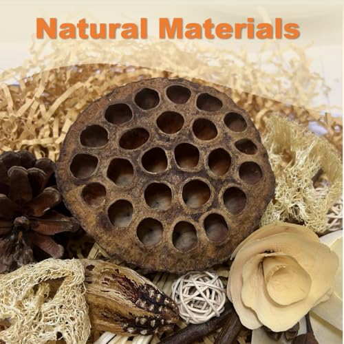 Bird Toys - Lotus Pod Foraging Box, 10 Natural Ingredients | Chewing and Shredding Parrot Toys | Ideal for Parakeets/Cockatiels/Conures/Lovebirds and Small to Medium Birds - size: Lotus Pod Foraging Box