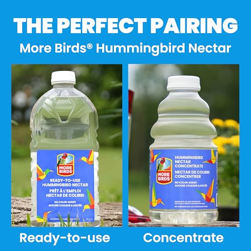 More Birds Bird Health+ Ruby Hummingbird Feeder, Glass Hummingbird Feeders for Outdoors, 4 Feeding Stations, 10 Ounces, Ruby Red