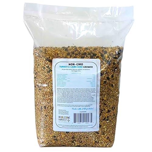 Non-GMO 10 lb Turkey Feed - Natural Peacock, Game Bird & Bird Feed, 24% High Protein Complete Food with Essential Oils, Herbs, Vitamins & Probiotics Formula for Healthy Flock Growth - size: 10 Pound (Pack of 1)