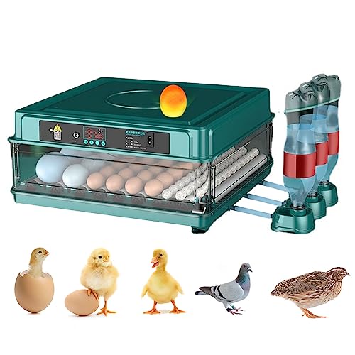 Automatic Egg Incubator 12-38 Egg Digital Poultry Hatcher Machine ith Automatic Egg Turning, Temperature & Humidity Control, Efficient LED Lighting for Chicken Geese Ducks Pigeons Quails (38 Eggs) - style: 38 Eggs