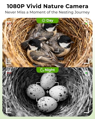 Bird House with Camera,Solar Smart Birdhouse with Camera Inside | Motion Detect & Night Vision,App Control,Wi-Fi Bird Watching for Backyard Nesting,Bird House for Outside with Camera,Green - color: Light Green