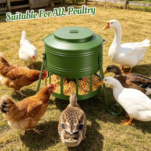 Metal Chicken Feeder, 20Lbs Large No Waste Chicken Feeder with 12 Ports, Heavy Duty Poultry Feeder with Lid & Handle, Rat Proof Rust Proof Feed Box for Chickens Ducks Geese Backyard Farm (Green) - color: Green