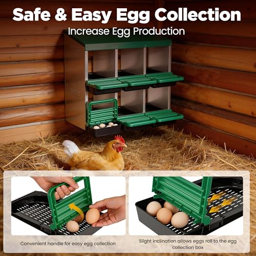 Eggluuz Chicken Nesting Box, 6 Compartments Egg Laying Nests Boxes for Hens - size: 6 Holes