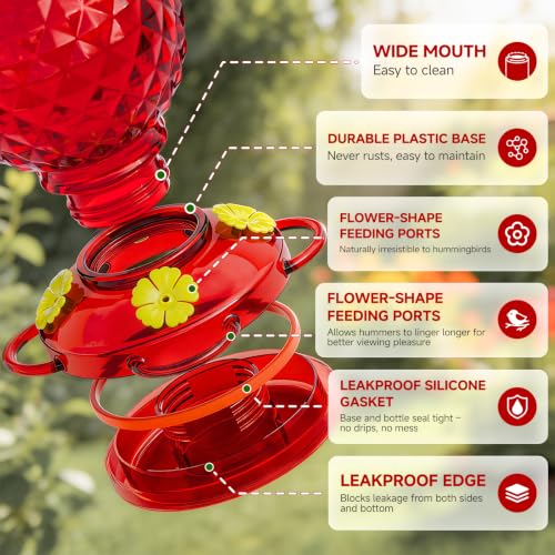 Hummingbird Feeder Glass 20 OZ 2-Pack Round Ant&Bee Proof Feeders | Red Glass Hummingbird Feeders for Outdoors Hanging with 4 Feeding Ports, Rustproof Leakproof Base, Garden Yard Décor Gifts