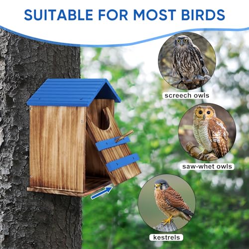 Owl House, Wood Screech Owl House Bird Box with Shavings Owls Boxes for Outside, Owls Nesting Box with Perch Stand & Mounting Kit for Wildlife Habitat Shelter Lovers(Blue) 13.5x7.5x8.7in
