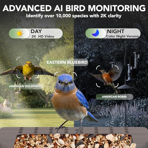 Smart Bird Feeder with Camera, Solar Powered 2K Video AI Identification | Instant Arrival Alerts, Night Vision, Weatherproof Outdoor Feeder With App Sharing For Bird Lovers