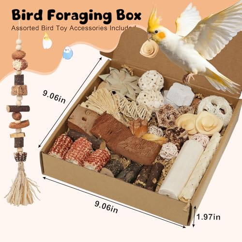 Bird Toys Parrot Natural Foraging Box Parakeet Toys DIY Hanging String for Cockatiels,Conures,Love Birds,and Other Small to Medium Birds Cage Accessories (Large) - size: Large