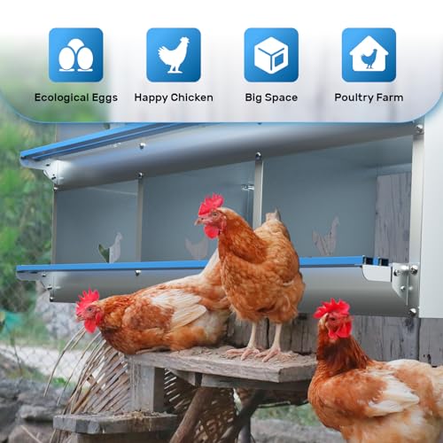 Chicken Nesting Box 6 Compartments Metal Laying Boxes for Chicken Hens Poultry Ducks Protect Eggs Chicken Coop Easy Egg Collection Wall Mount Nest Box for Chicken Coop - size: 6 Compartments