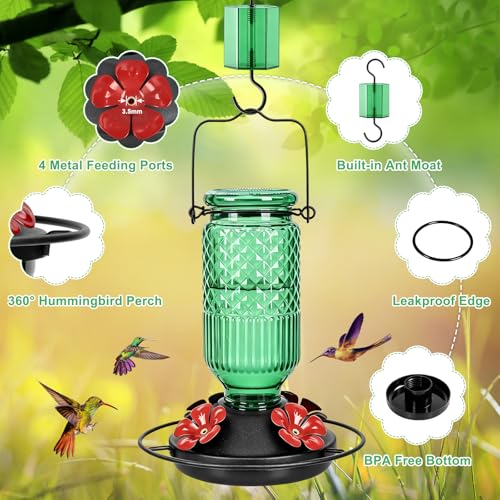 Glass Hummingbird Feeder, 16oz Outdoor Hanging Bird Feeder with Ant Moat, 4 Bee-Proof Feeding Ports, 360° Perch, Leak-Proof, Green - color: Green