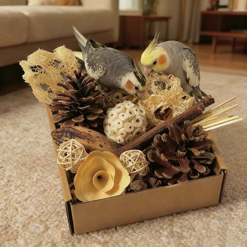 Bird Toys - Sola Ball Foraging Box, 10 Natural Ingredients | Chewing and Shredding Parrot Toys | Ideal for Parakeets/Cockatiels/Conures/Lovebirds and Small to Medium Birds - size: Sola Ball Foraging Box