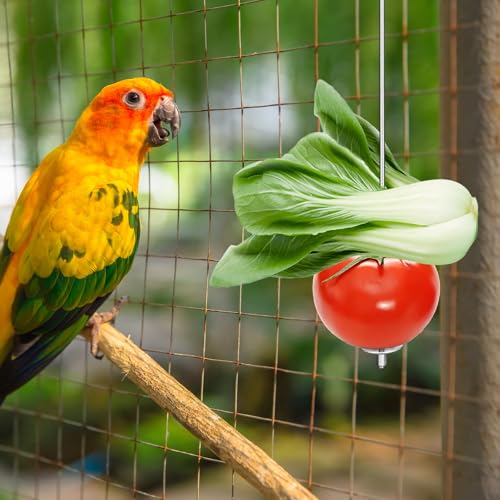 4PCS Bird Cage Food Holder, Stainless Steel Bird Feeder for Cage with Hook, 22cm/17cm Parrot Fruit Skewers, 2 Sizes Hanging Foraging Toy for Macaw Parakeet Parrot Budgie