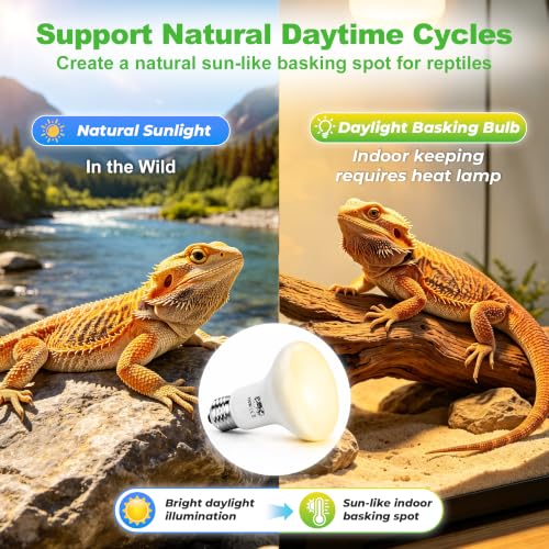 LUCKY HERP Reptile Heat Lamp Bulbs 100W, UVA Daylight Basking Bulbs 2 Pack | Fast Heating, Simulates Natural Sunlight, Ideal for Bearded Dragons Geckos Lizards Turtles Chameleons Amphibians & Chickens - size: 100