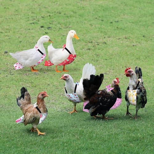 8 Pcs Chicken Diapers Bird Diaper Reusable Duck Diapers Waterproof and Adjustable Chicken Accessories Poultry(L) - size: L