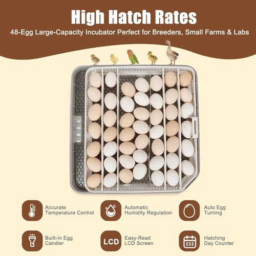 Gen IV – 48 Egg Fully Automatic Incubator, 2026 Upgraded Design, Intelligent Sensor-Based Humidity & Temp Control, Custom Days, Adjustable Auto Turning & Stop, Chick Separator, Flexible Egg Spacing - size: 48 egg-black