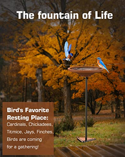 Bird Baths for Outdoors, Detachable Birdbaths for The Garden Clearance, Freestanding Bird Baths for Outdoors Heavy Duty, Bird Bath Bowl Spa & Birdfeeder with Metal Stake Stand, Circle Shape (Brown) - color: Brown