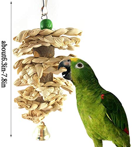 Hamiledyi Parrot Toys Chewing Bird Toy Cuttle Bone Beak Grinding Cage Hanging Bell Toys for African Greys Amazon Conure Eclectus Budgies Parakeet Cockatiel Hamster Chinchilla Rabbit 3 Pack