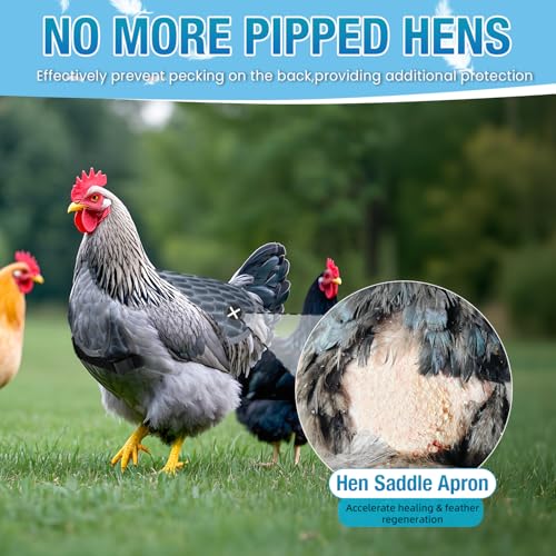 Chicken Saddle for Hens - Chicken Aprons for Hens With Adjustable Straps, Chicken Aprons & Vest Jacket for Hens - style: Grey Feather