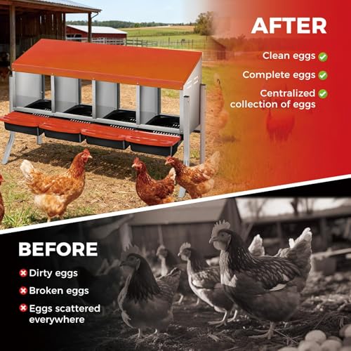 4 Holes Chicken Nesting Boxes for Laying Eggs, Wall-Mounted & Floorstanding Nesting Boxes for Chickens Ducks Geese, for Farm Backyard Chicken Coops, with Metal Leg, Orange - color: Orange, size: 4 Holes with metal legs