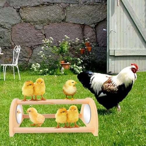 ALIBBON Mini Chicken Perch with Mirror Chick Strong Wooden Jungle Gym Roosting Bar Chicken Toys for Coop and Brooder Chick Training Perch for Large Bird Baby Chicks Parrot