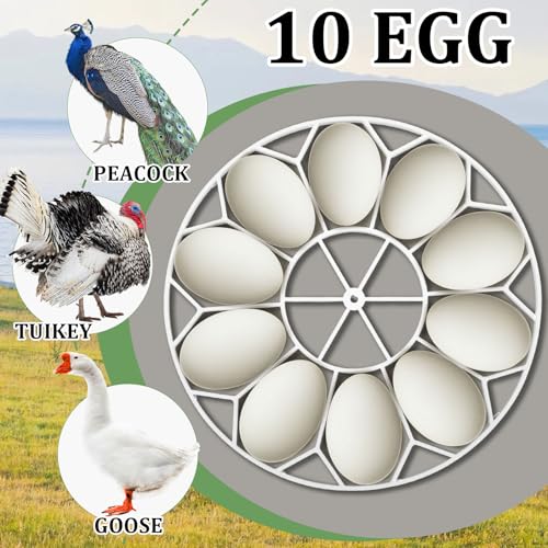 Teenyyou 3 Pcs 10 Egg Capacity Tray Jumbo Goose Turkey Peacock Egg Heavy Breeds Tray Compatible with JGT360 Nurture Right 360 Incubator Turner, White