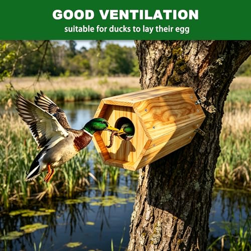 Mallard Nesting Box, Wood Duck House for Outdoor Hexagonal Large Duck House with Dual Entrances for Ponds, Wetlands, Backyards 19.7 X 10.2 X 10.2 Inches - color: Hexagonal Duck House, size: 19.7"H X 10.2"W X 10.2"D