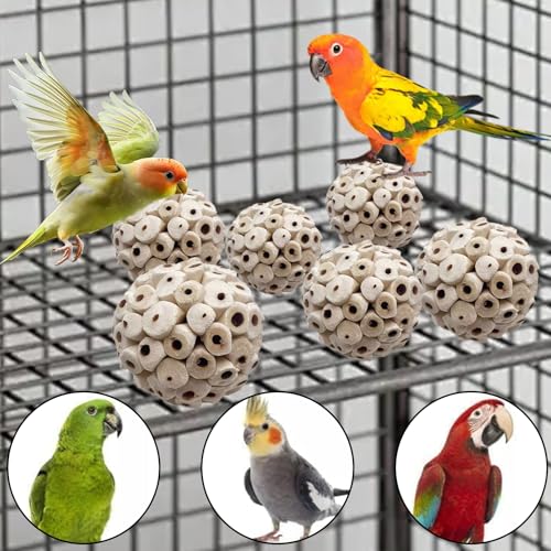LWINGFLYER 6 Pieces Sola Atta Ball Parrot Biting Toy Bird Chew Accessories Natural Sola Plant Material for Birds, Rabbits, Hamsters and Small Pets.