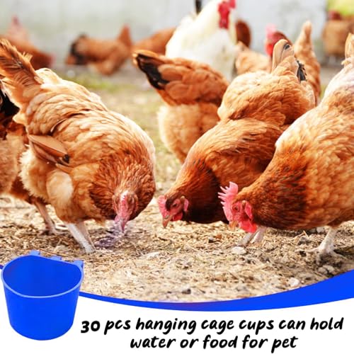 30 Pcs Chicken Coop Feeder Water Cup,8 oz Cage Cups Chicken Feeder Waterer, Cage Cups Birds Hanging Feeders, Chicken Feeder Water Bowl for Parakeet Poultry Pigeon Bunny Wire Cage (Blue) - color: Blue, size: 8oz