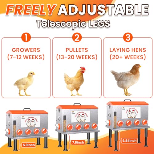 16-Gal Metal Automatic Chicken Feeder with No-Waste Feeding Tray | 88LB Capacity, 8 Feeding Ports, Rust-Proof Alloy Steel, Clear Viewing Window, Height-Adjustable Legs for Chicken Coops - color: Orange, size: 16GAL-88LB
