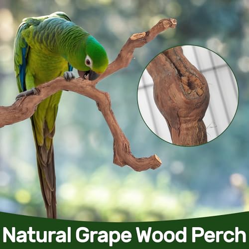 6-Piece Premium Bird Perch Stand with Natural Grape Wood Branch, Paw Grinding Fork, Chewing Stick, Cage Accessories for Parakeets, Budgies, Cockatiels, Finches, Lovebirds - size: 6Piece
