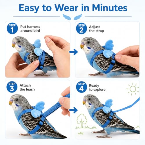 Pet Parrot Bird Harness and Leash, 2m Adjustable Polyester Rope with Cute Wing, Bird Flying Harness for Parrots, Pigeons, Budgerigars, Lovebirds, Cockatiels Outdoor Use - color: Blue, size: S