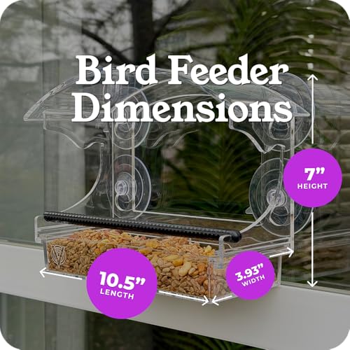 Window Bird Feeder with Strong Suction, Removable Tray & Clear Modern Design