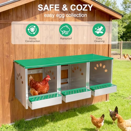 Chicken Nesting Box 3 Compartments - Wall Mount Metal Egg Laying Nest Box for Chicken Coop, Easy to Assemble & Versatile Use for Hens, Ducks, Chickens