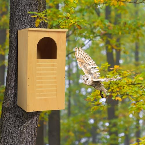 Cinnvoice Large Owl Houses for Outdoors 13" x 13" x 26", Treated Exterior Grade Plywood Owl Nesting Box with Arch Opening Large Bird House for Outside Backyard, Easy Assembly Required