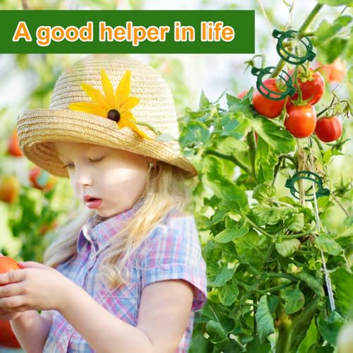 200 Pcs Plant Support Tomato Clips, Garden Clips, Crop Clips for Vine Vegetables, Fixing Tomato, Sweet Pepper, Eggplant, Makes Plants Grow Upright and Healthier（Green） - color: Green