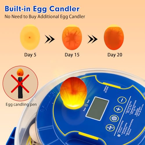 18 Egg Incubator Automatic Egg Turner Temperature & Humidity Control, Incubators for Hatching Eggs, Chicken, Ducks, Goose, Pigeon, Quail, Parrot Incubator Farm,Lab,Science Classroom,Home (Blue-18 Egg)