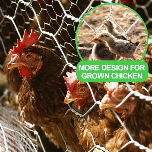 Amagabeli Chicken Wire Fencing Poultry Wire Netting 36inch x 50ft 2 Inch Hexagonal Galvanized Mesh Garden Fence Animal Barrier for Garden Protection Craft Rabbit Cage Dog Roll Chicken Coop Accessories - size: 2" 36"x50'