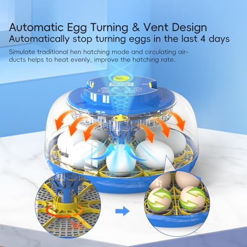 Incubators for Hatching Eggs Automatic Egg Incubator with Temperature Control Humidity Display 12 18 48 Egg Capacity for Chicken Duck Goose Eggs Digital Display Auto Turner 360° View (Blue, 18 Egg)