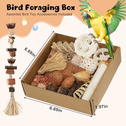 Bird Toys Parrot Natural Foraging Box Parakeet Toys DIY Hanging String for Cockatiels,Conures,Love Birds,and Other Small to Medium Birds Cage Accessories (Medium) - size: Medium