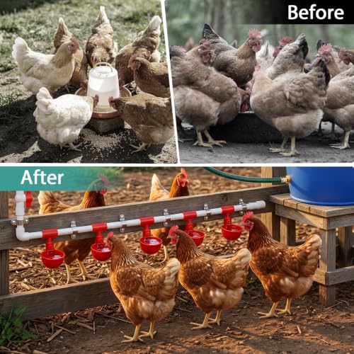 Complete Set Pipeline Automatic Chicken Waterer System, Pipe Chicken Waterer with Water Cups Removable and Washable, Poultry Watering System for Chick Duck Quail (Red, 10 Cup)